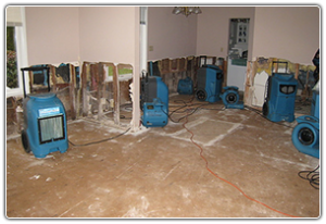 water damage cleanup tempe