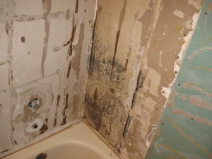 Mold behind tub
